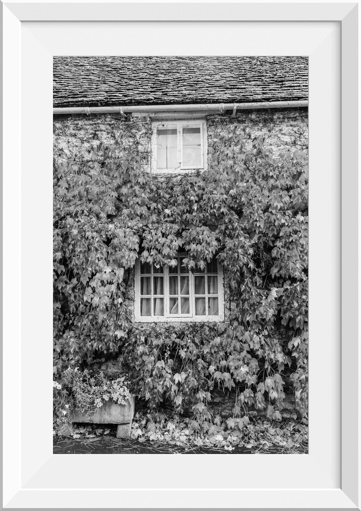 Autumn in the Cotswolds