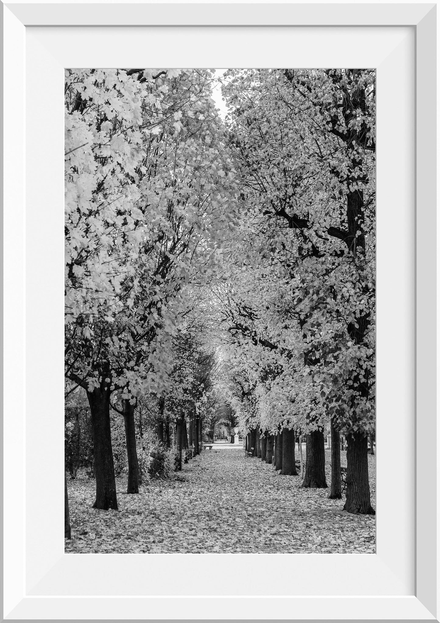 Autumn at Schönbrunn Palace Vienna, Austria