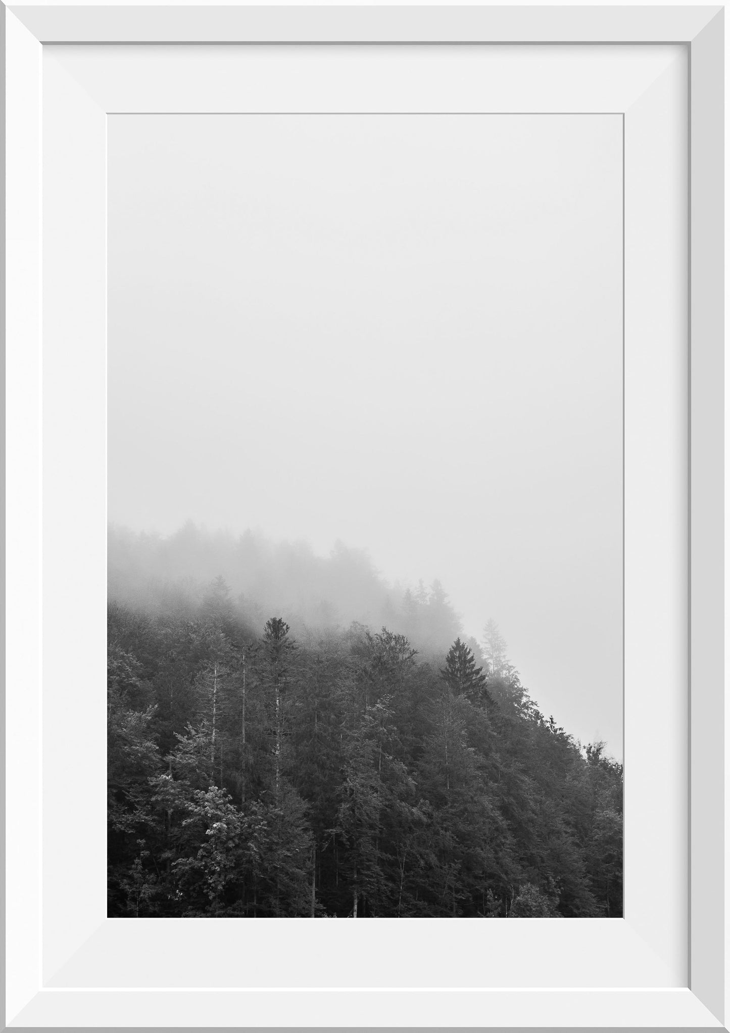 Misty Mornings on Lake Königssee III, Germany