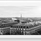 Parisian Rooftop Views