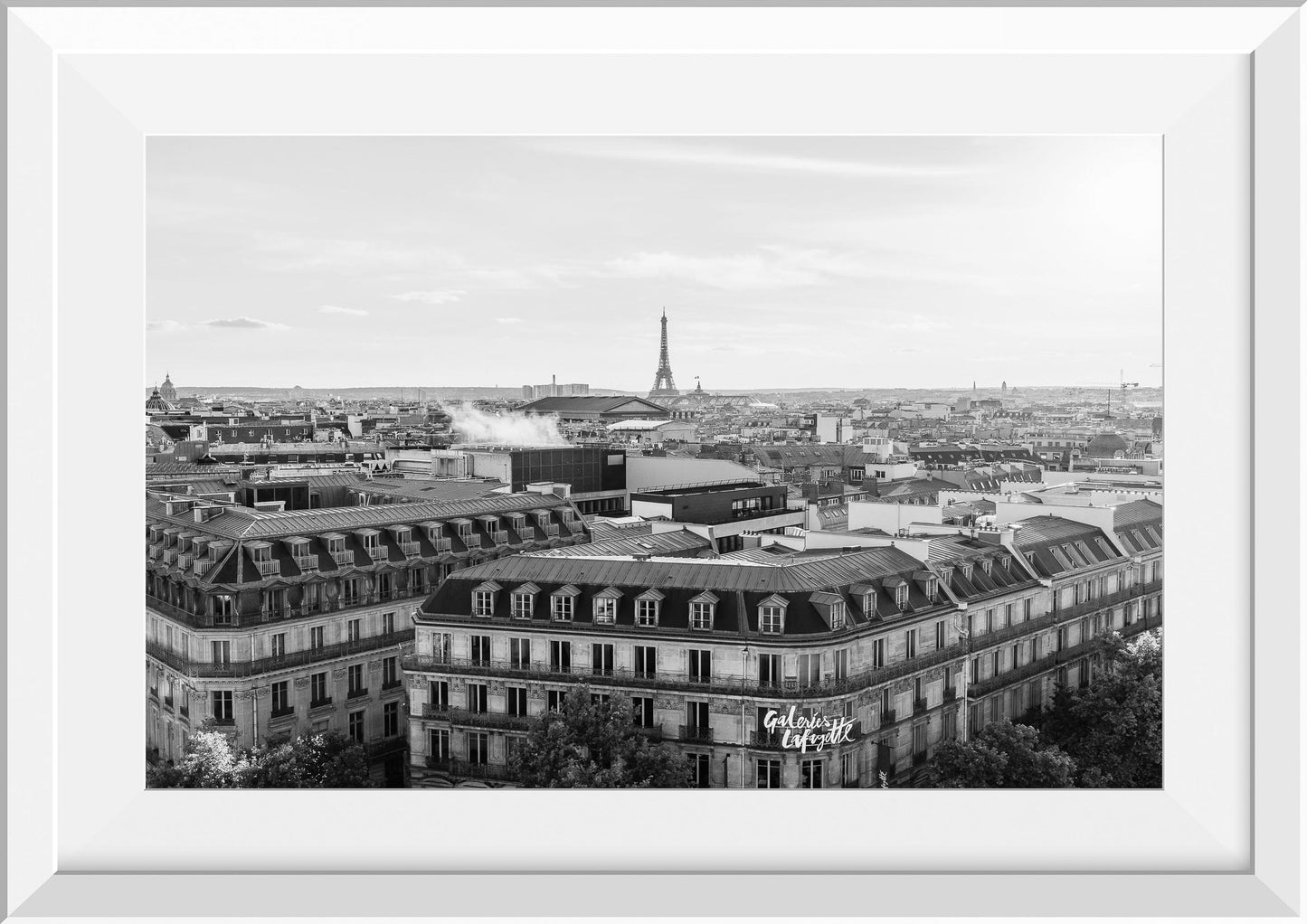Parisian Rooftop Views