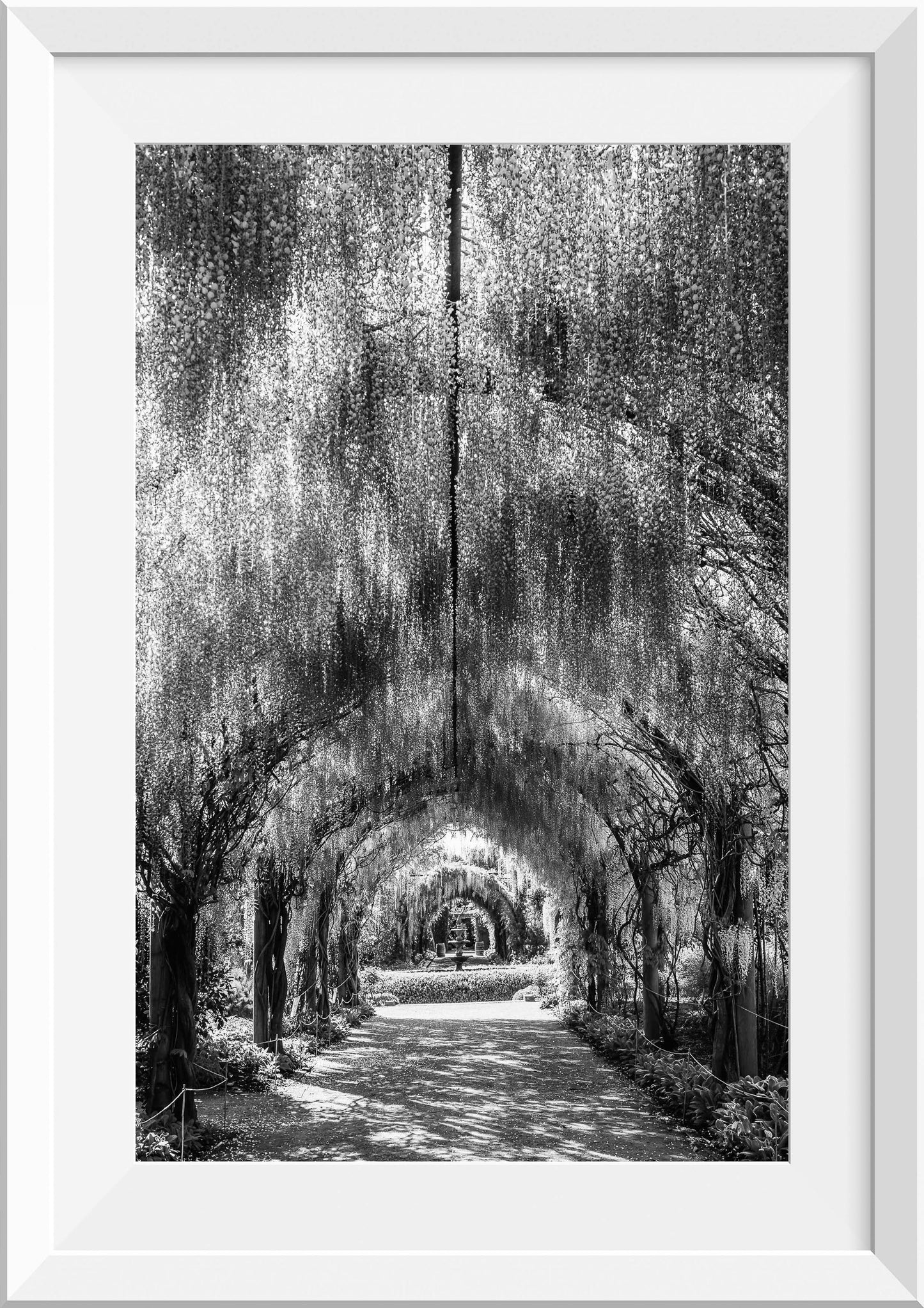 Wisteria Tunnel