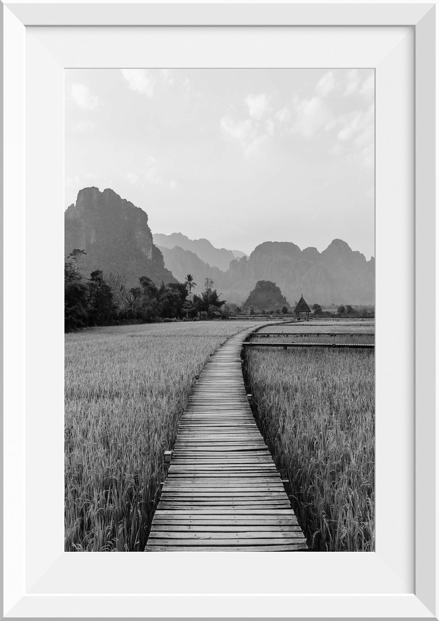 Rice Fields in Vang Vieng, Laos