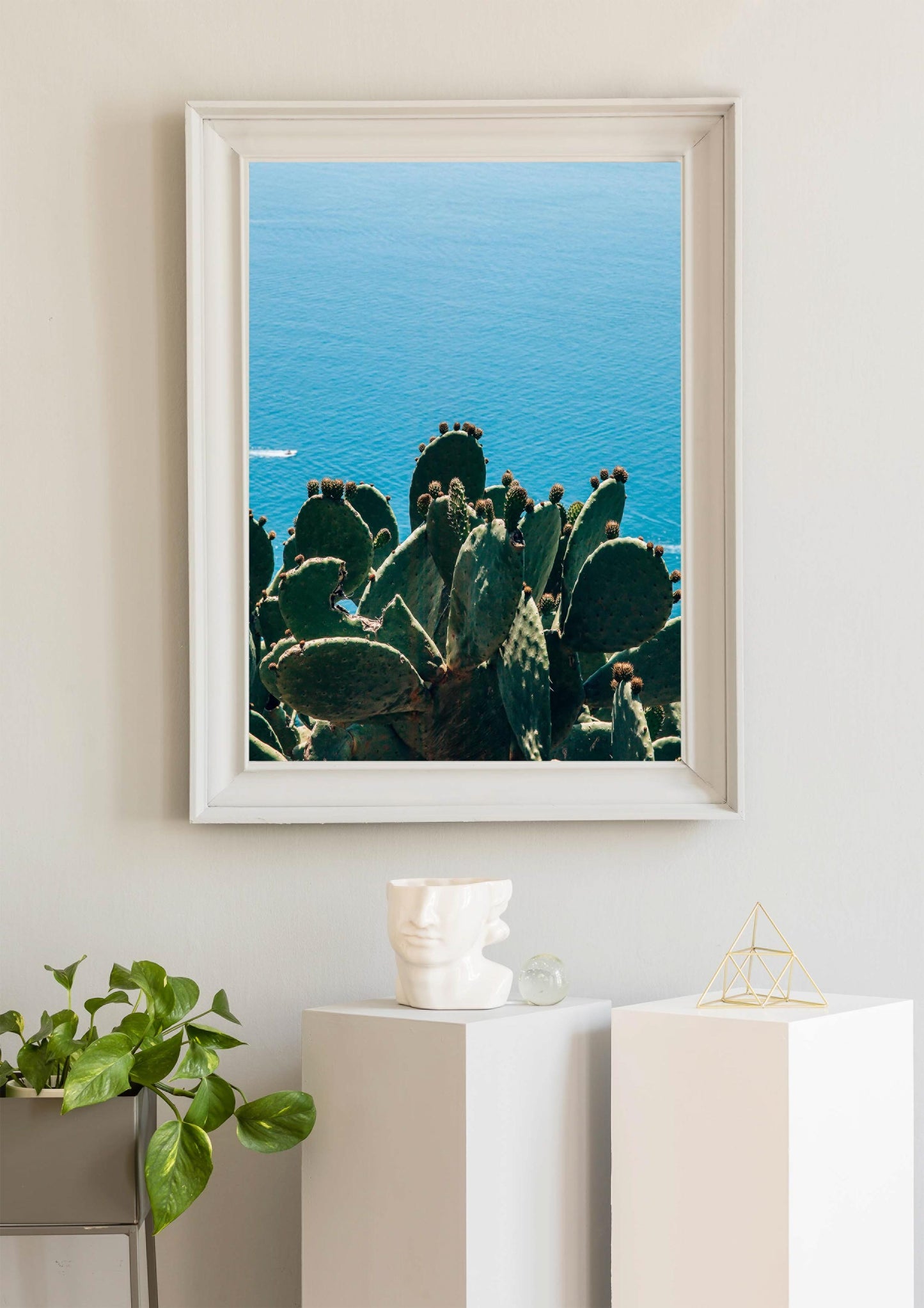 Cactus on the Amalfi Coat, Italy