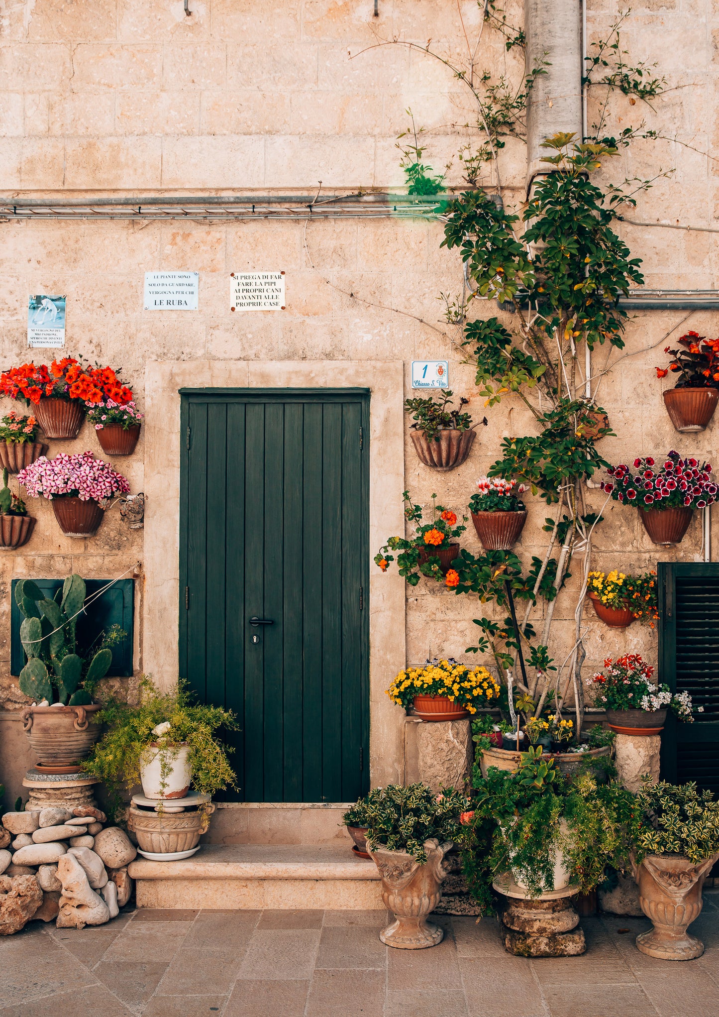Garden of Pot Plants in Monopoli, Italy