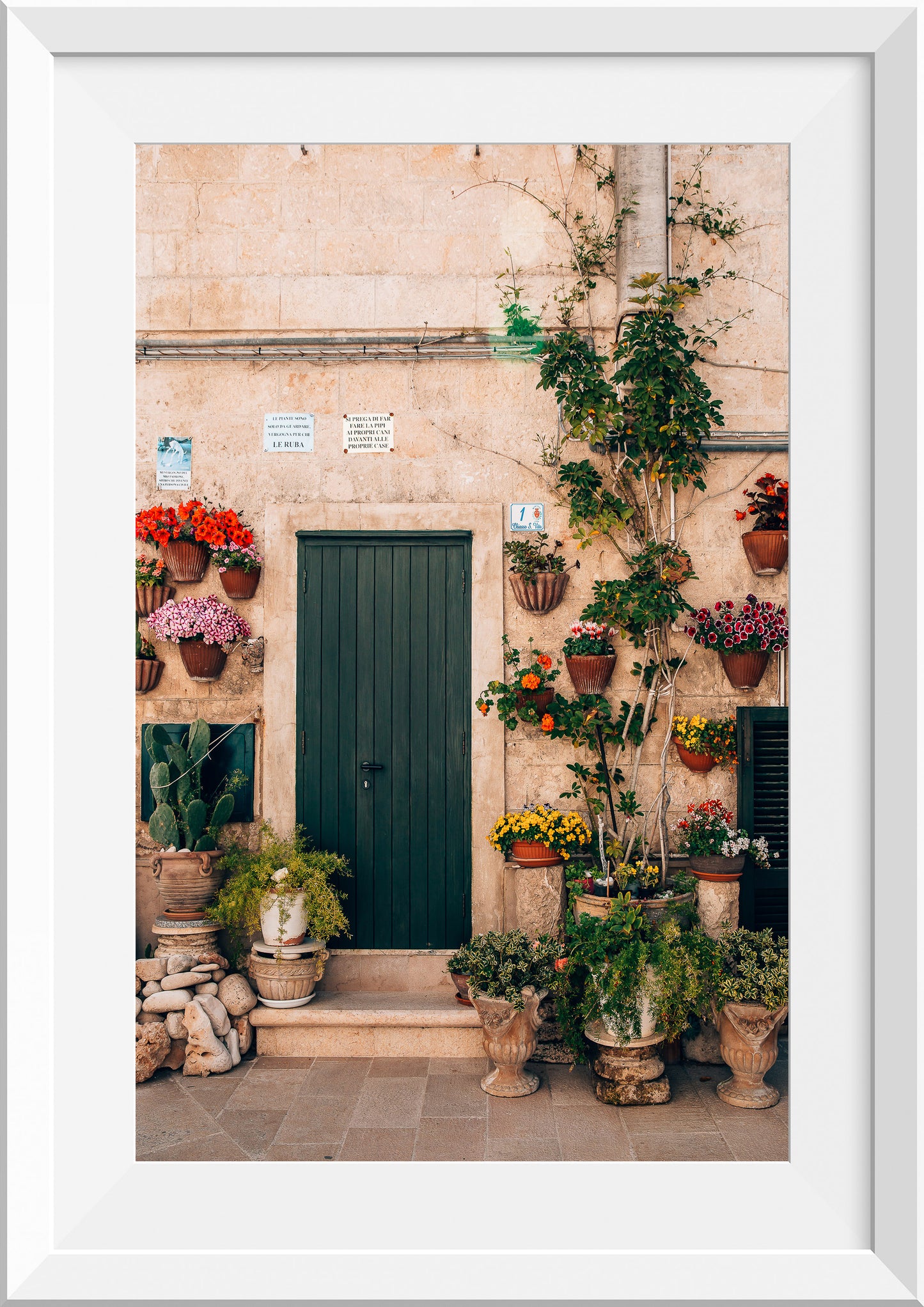 Garden of Pot Plants in Monopoli, Italy