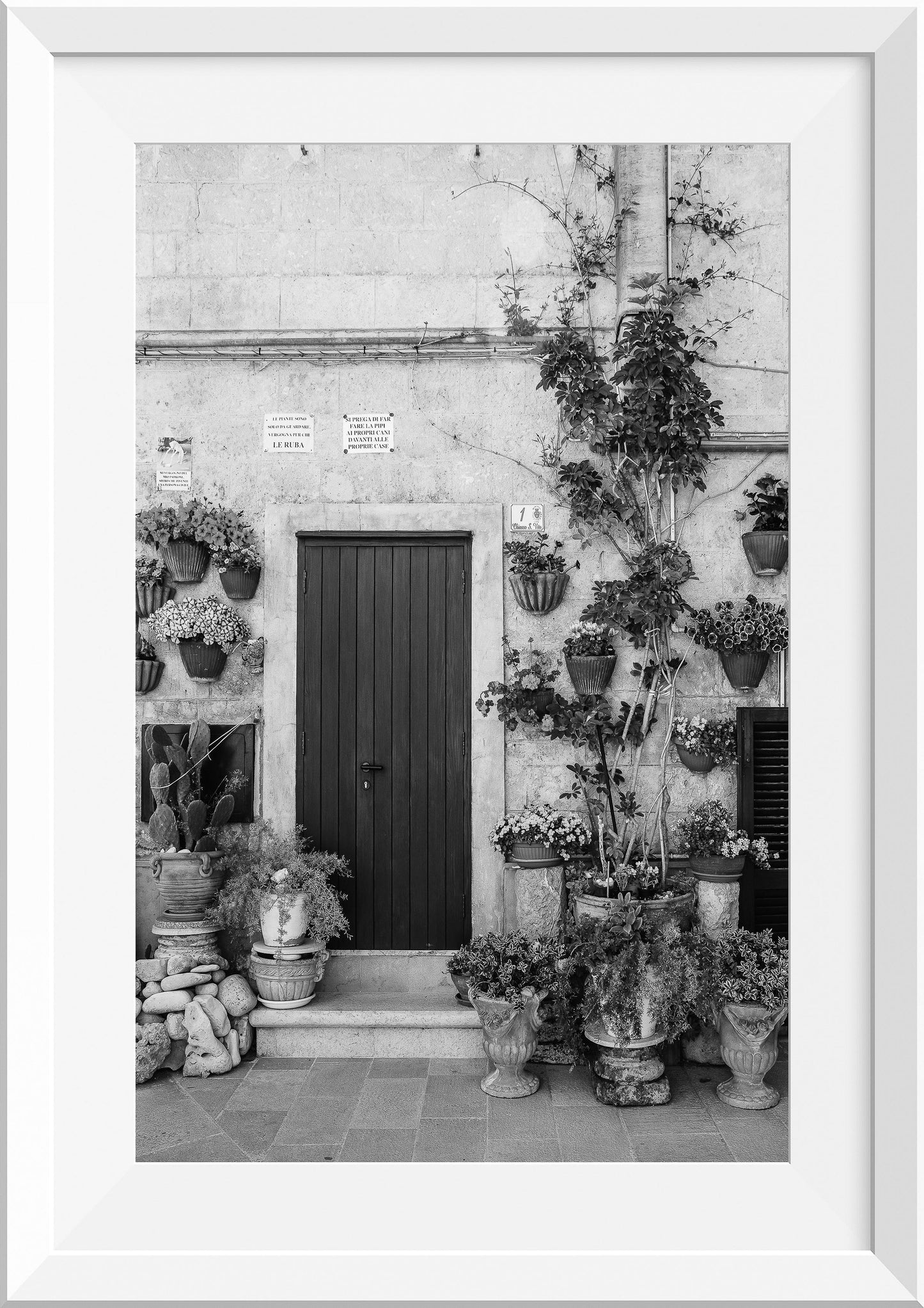 Garden of Pot Plants in Monopoli, Italy