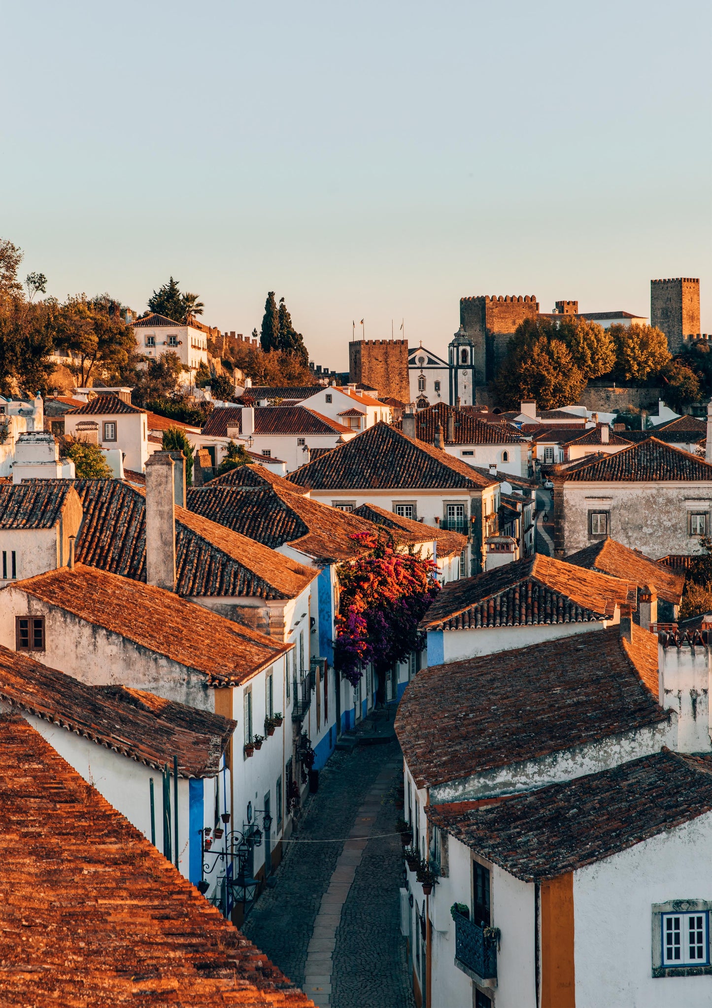 Rooftops of Óbidos, Portugal
