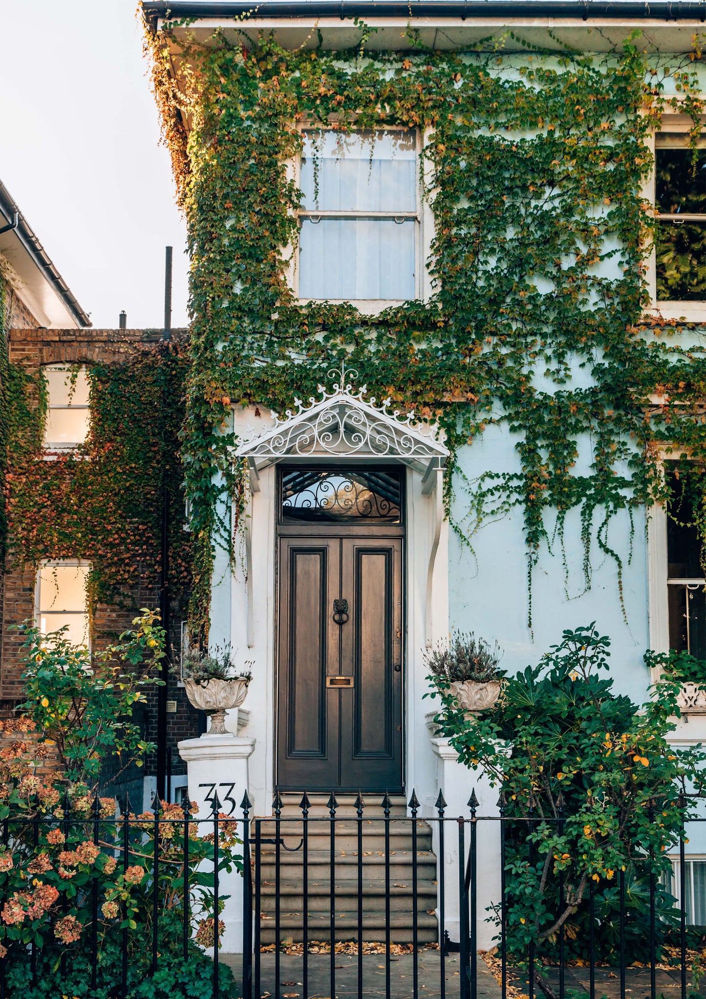 Blue Vine House, London