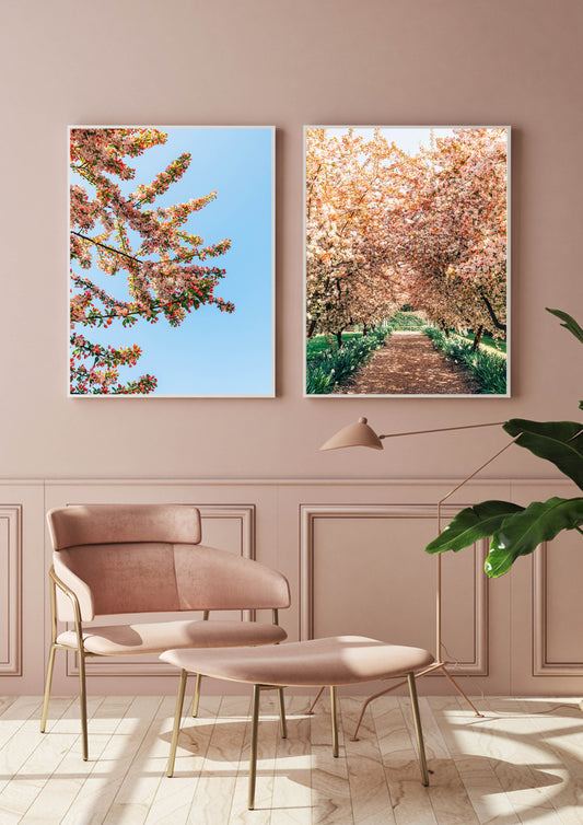 Crabapple Tree Blossom Lane