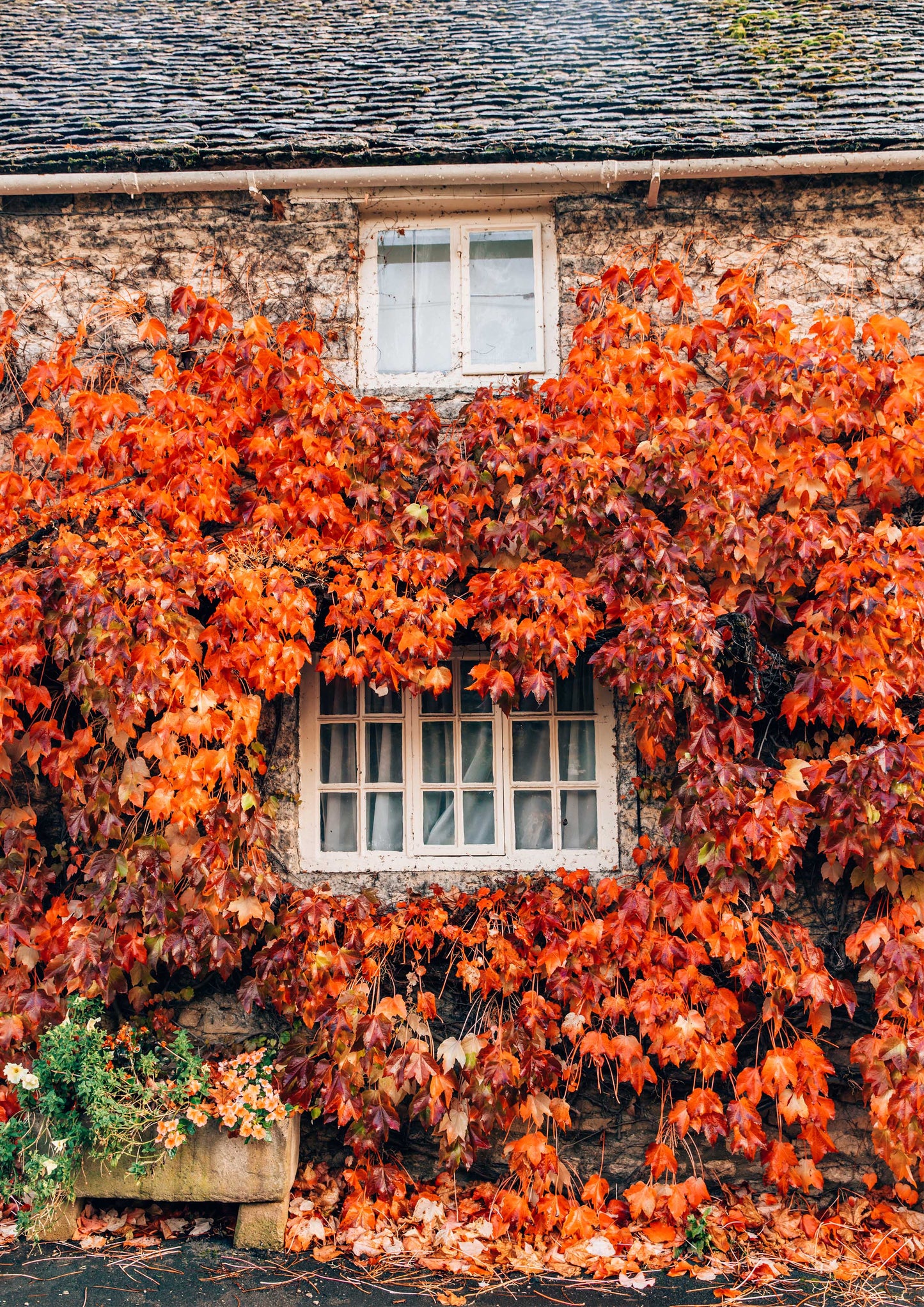 Autumn in the Cotswolds