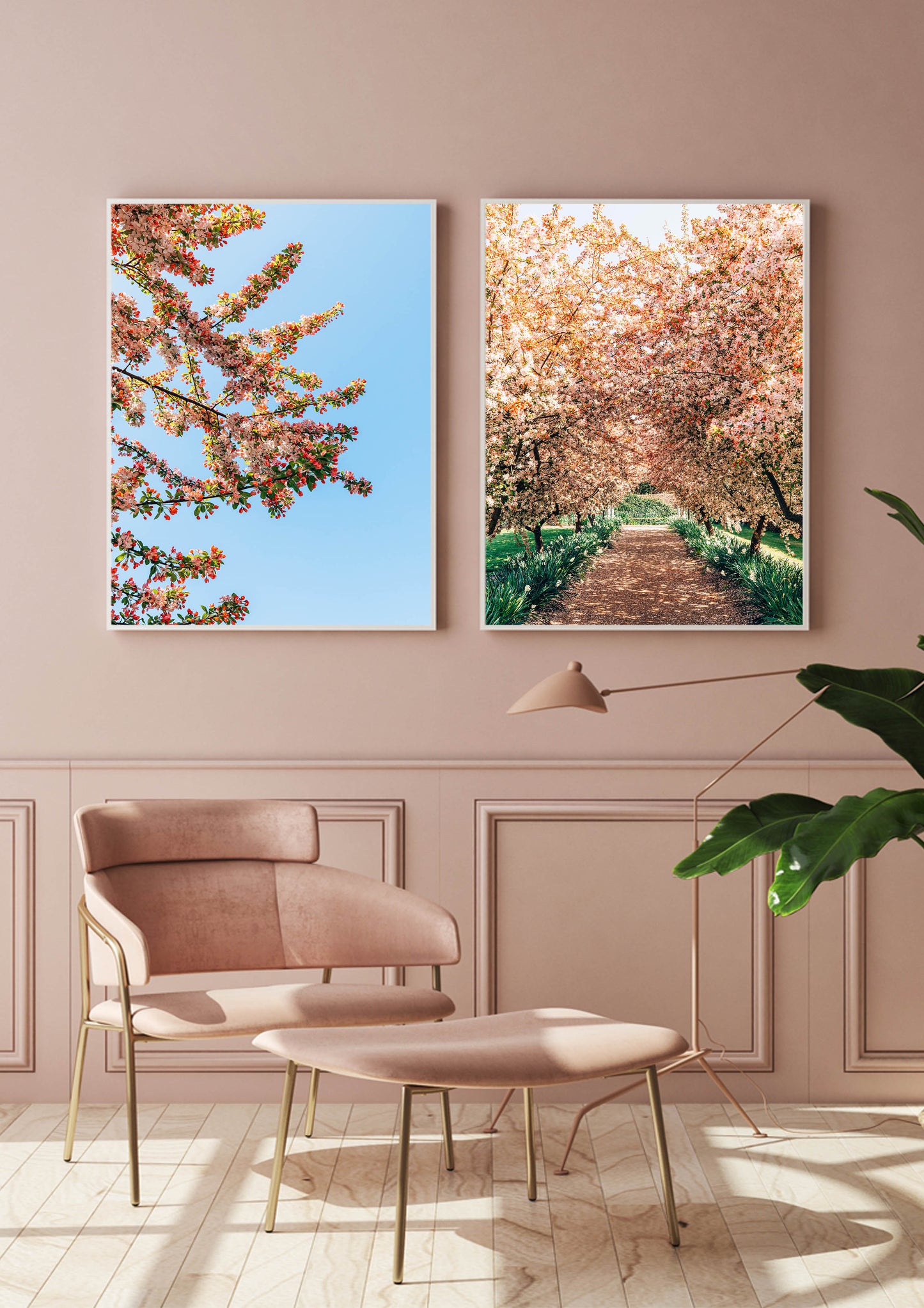 Blossom and Sky