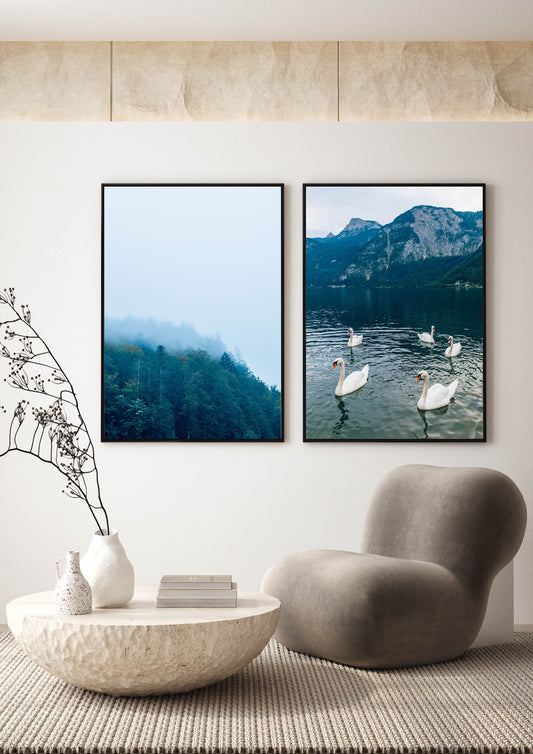 Swans at Lake Hallstatt, Austria