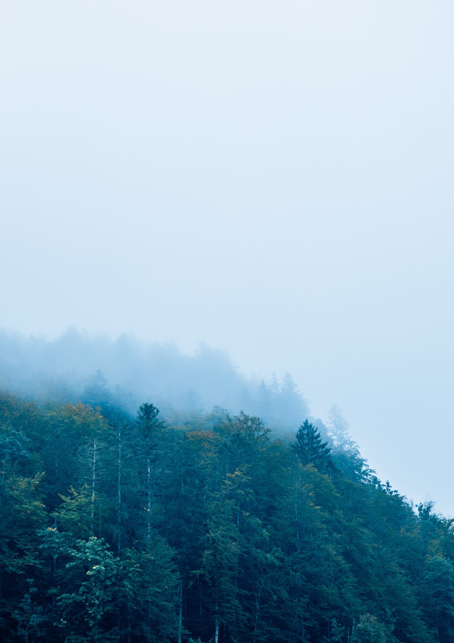 Misty Mornings on Lake Königssee III, Germany
