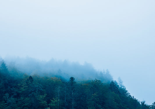 Misty Mornings on Lake Königssee IV, Germany