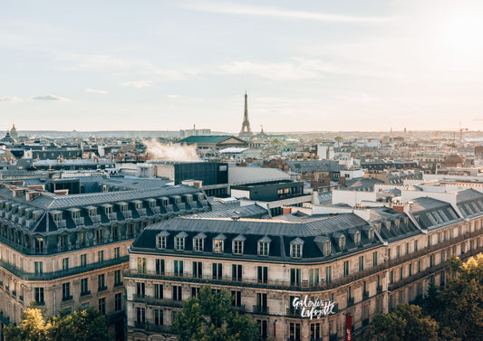 Parisian Rooftop Views