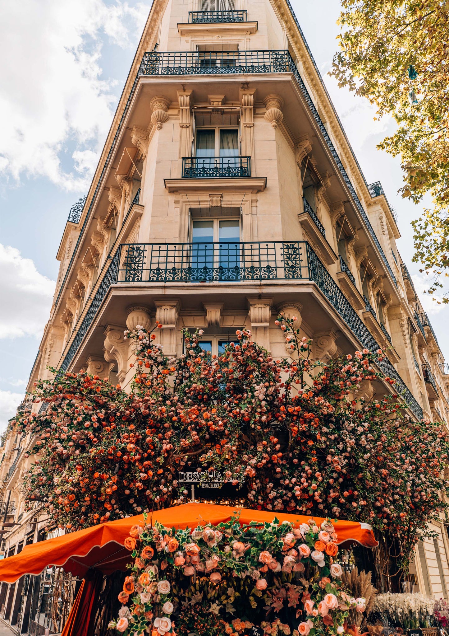 Parisian Florist II