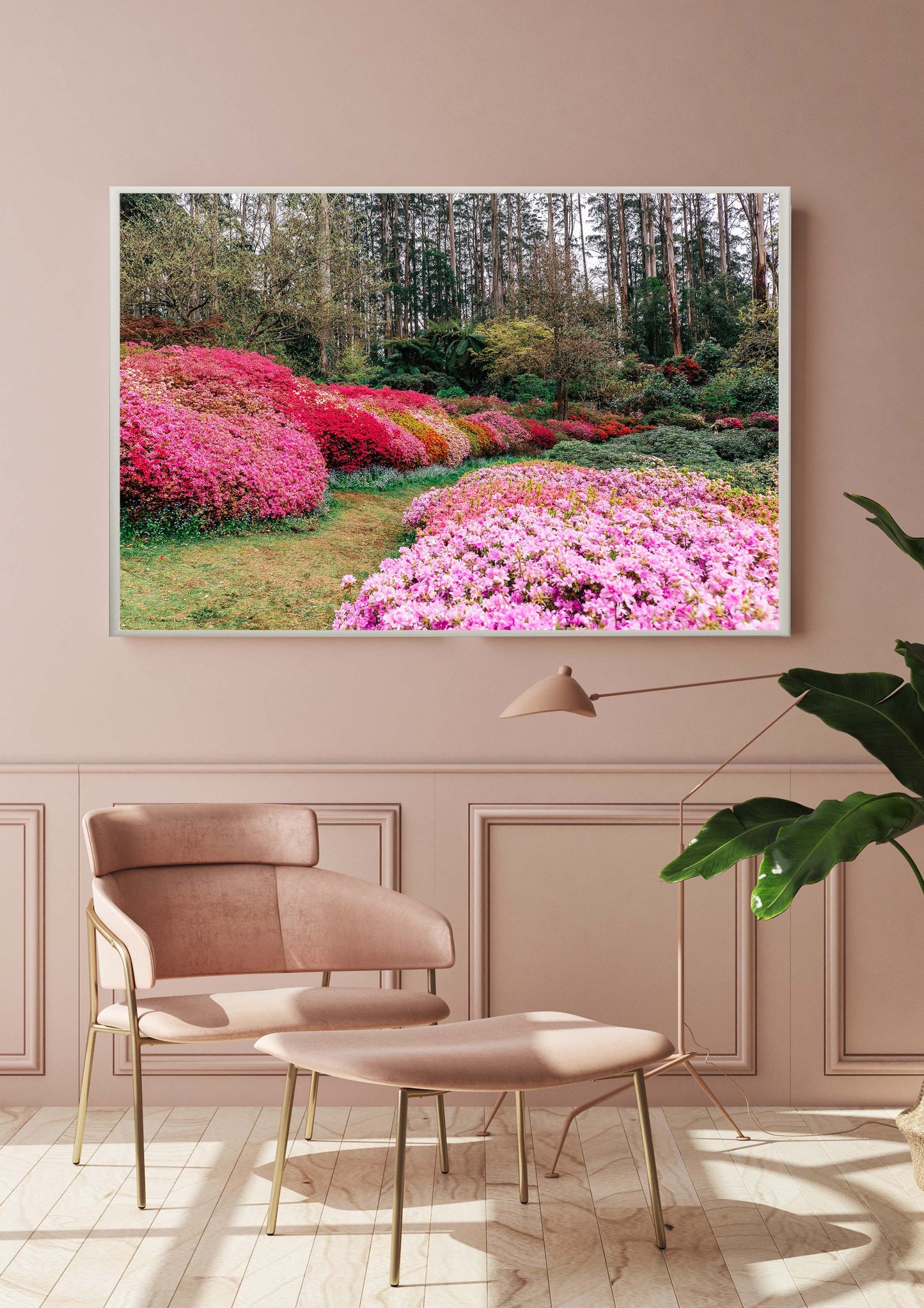 Azalea Forest II