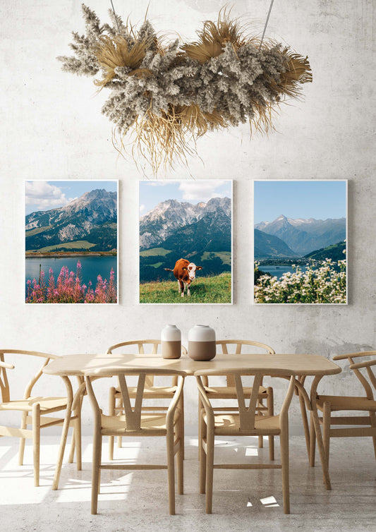 Cow on a Mountain in Leogang, Austria