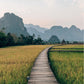 Rice Fields in Vang Vieng, Laos