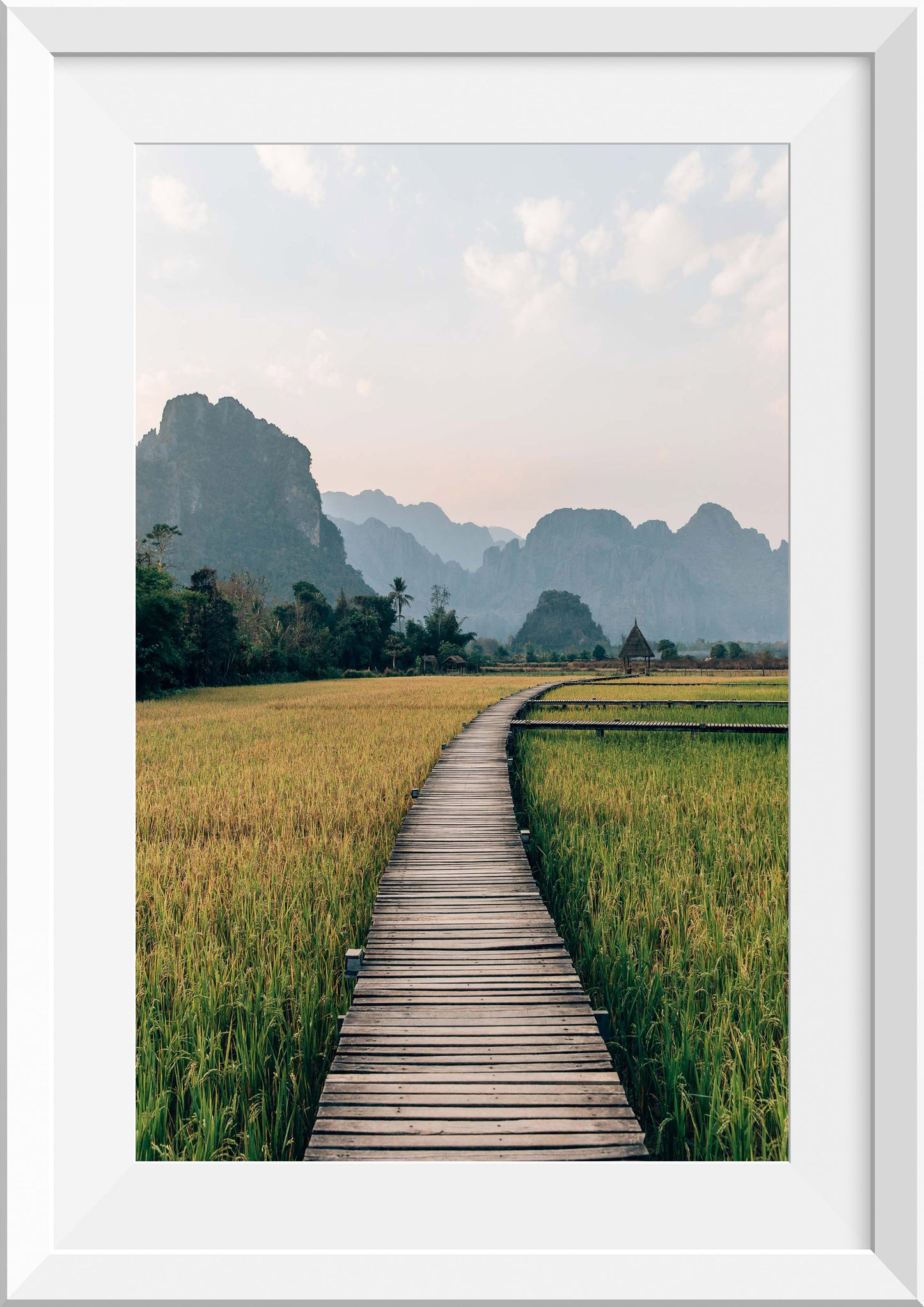 Rice Fields in Vang Vieng, Laos