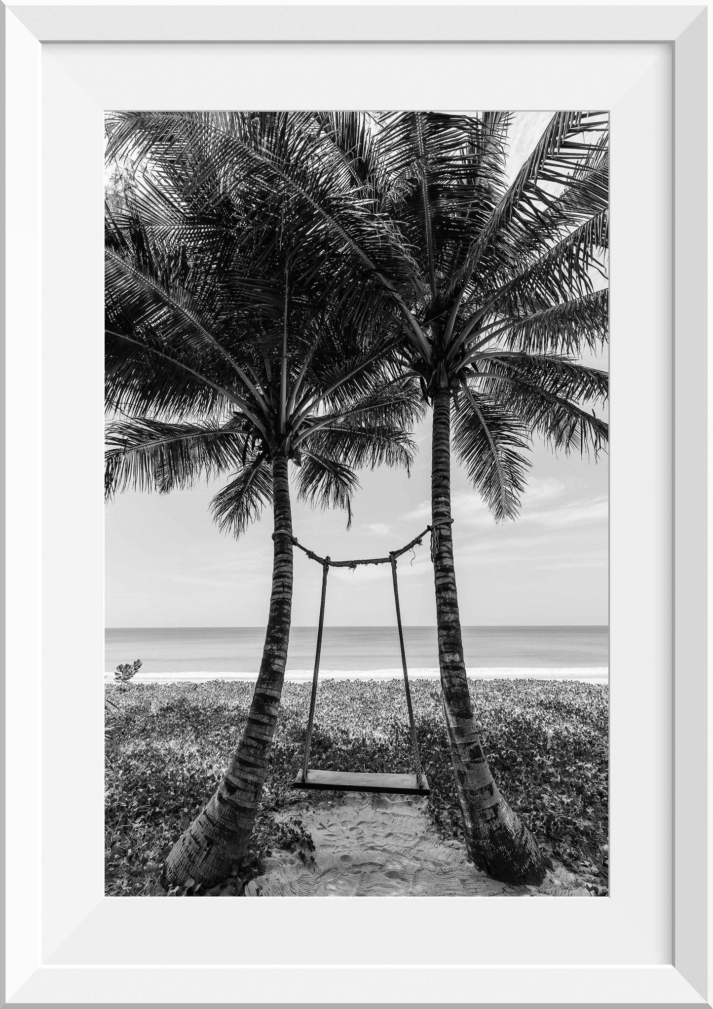 Palm Trees in Phuket, Thailand