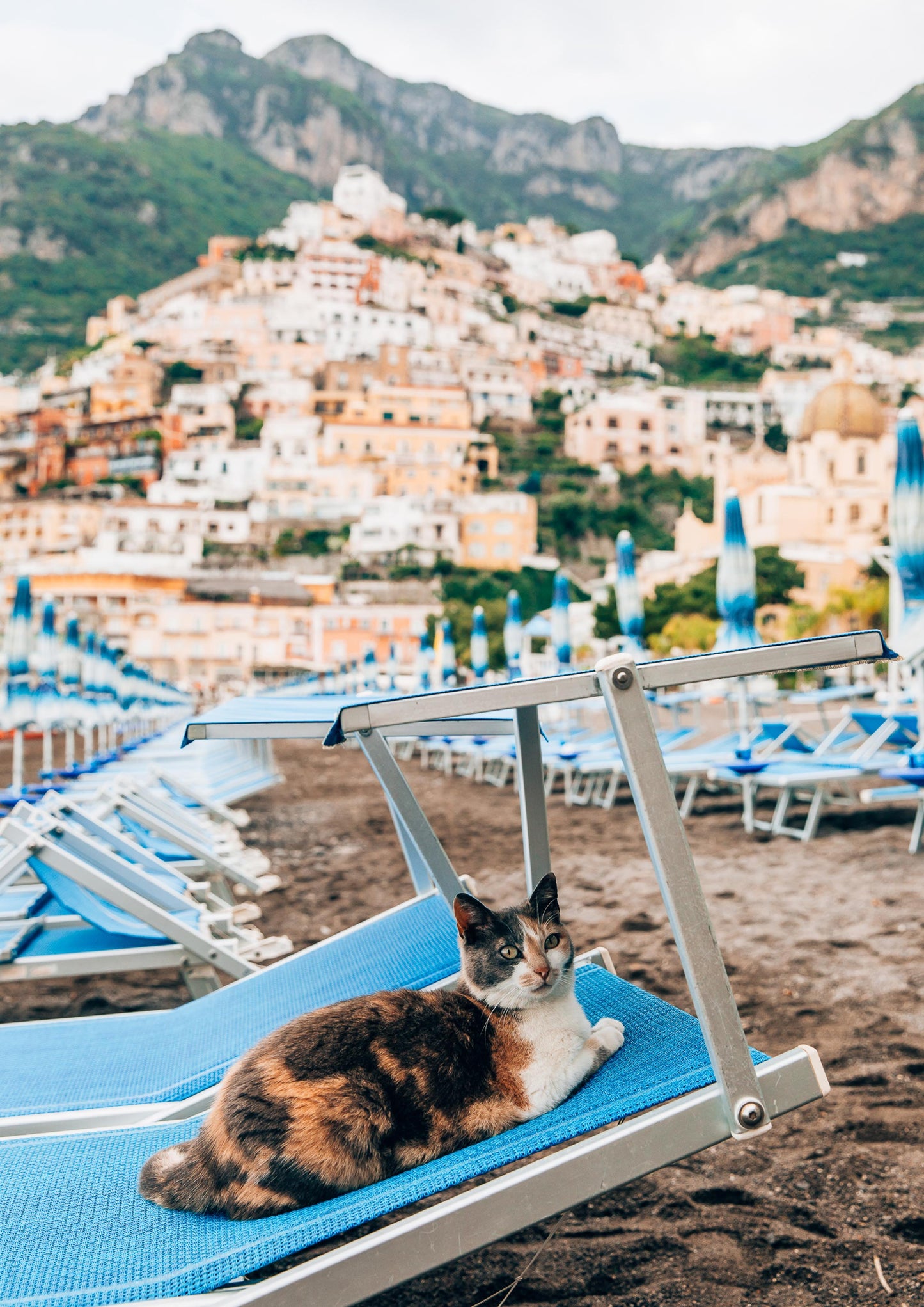 Beach Club Cat in Positano, Italy