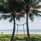 Palm Trees in Phuket, Thailand