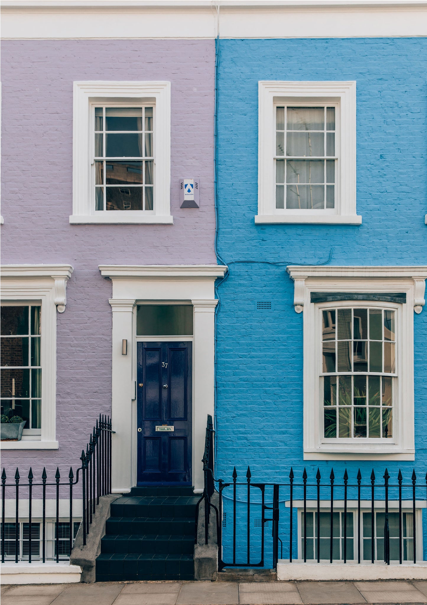 Purple & Blue House, London