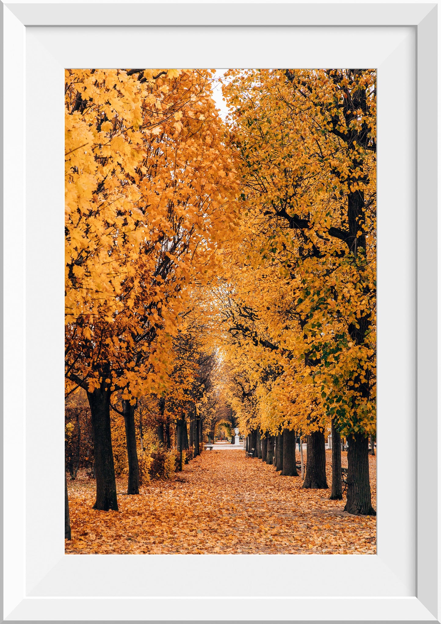 Autumn at Schönbrunn Palace Vienna, Austria