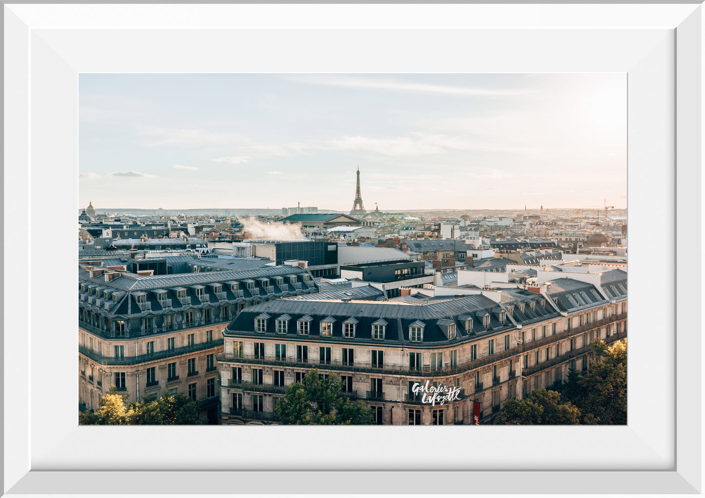 Parisian Rooftop Views